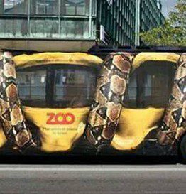 mejores-anuncios--autobus-del-zoo